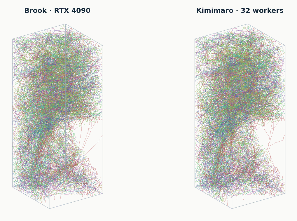 Skeletons of the 512-cubed volume from Brook and from Kimimaro, drawn with the same camera and colours.